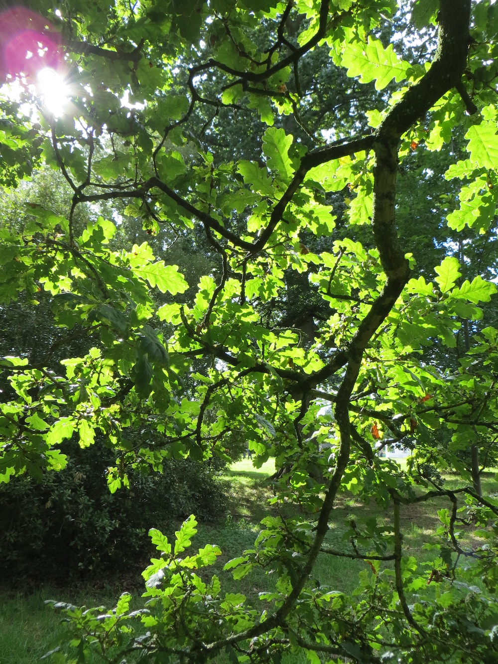 Summer Newsletter 2025